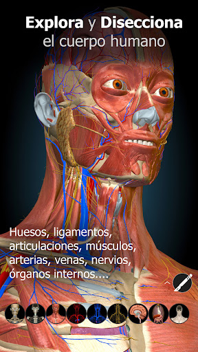 Anatomy Learning - Anatomía 3D PC