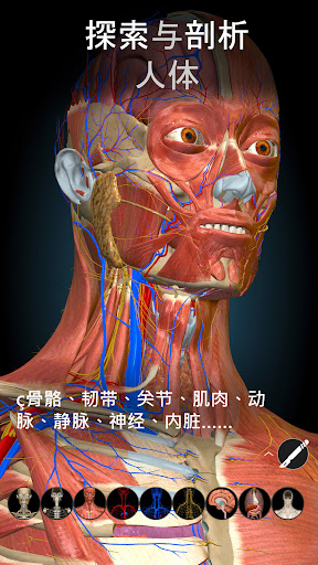 Anatomy Learning - 3D 解剖学