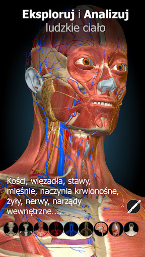 Anatomy Learning - Anatomia 3D PC