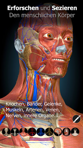 3D-Anatomie - Anatomy Learning PC