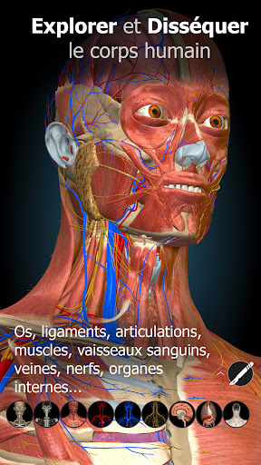 Anatomy Learning - Anatomie 3D PC