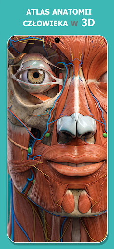 Anatomy Learning - Anatomia 3D