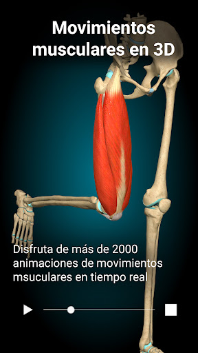 Anatomy Learning - Anatomía 3D PC