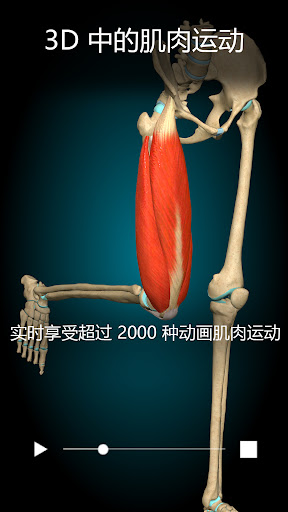 Anatomy Learning - 3D 解剖学