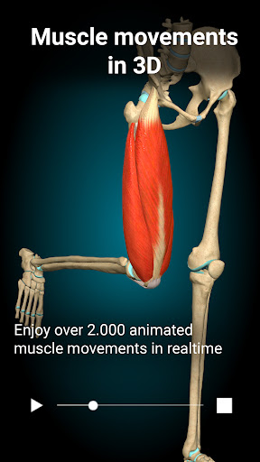 Anatomy Learning - Anatomía 3D PC