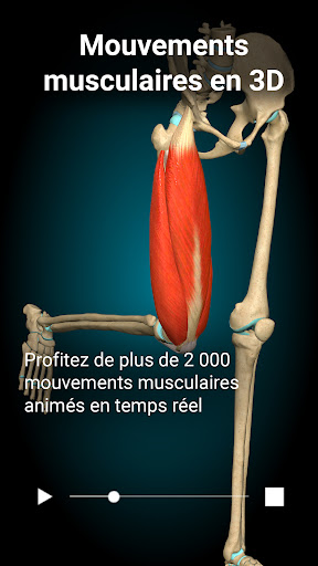 Anatomy Learning - Anatomie 3D PC