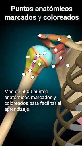 Anatomy Learning - Anatomía 3D PC