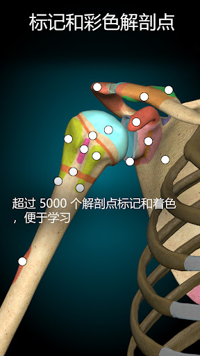 Anatomy Learning - 3D 解剖学