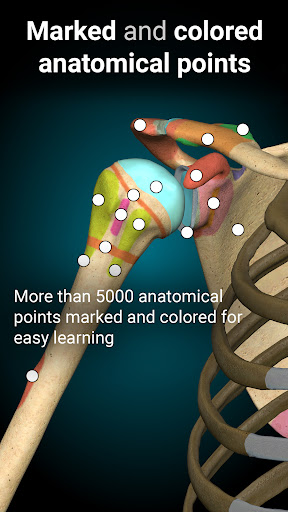 Anatomy Learning - Anatomía 3D