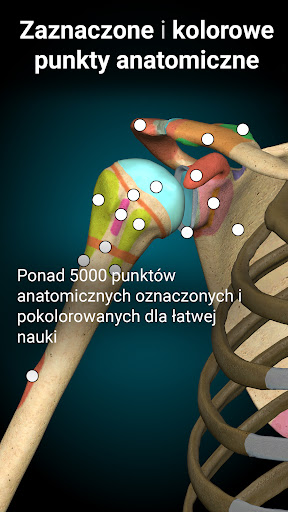 Anatomy Learning - Anatomia 3D PC