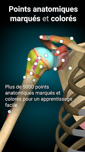 Anatomy Learning - Anatomie 3D PC