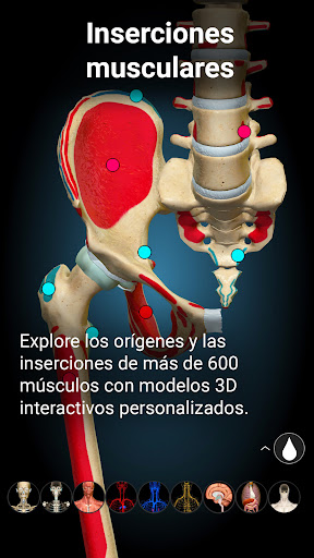 Anatomy Learning - Anatomía 3D PC