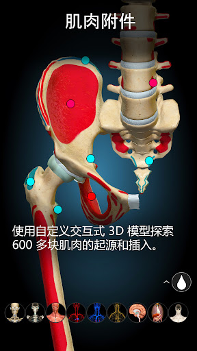 Anatomy Learning - 3D 解剖学