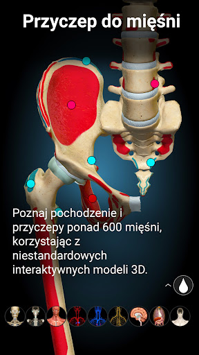 Anatomy Learning - Anatomia 3D PC