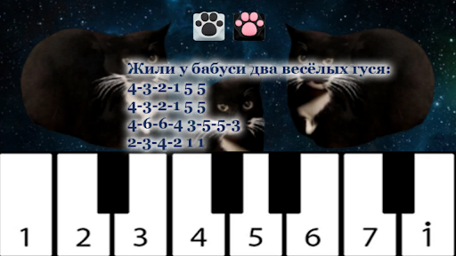 Maxwell the Cat piano