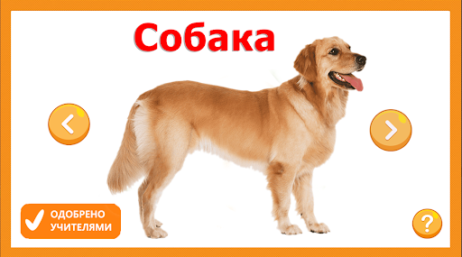 Учим животные для малышей PC
