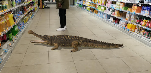 HOLOFIL 3D model viewer PC