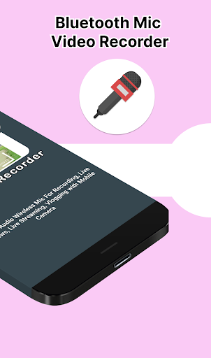 Wireless Mic Video Recorder PC