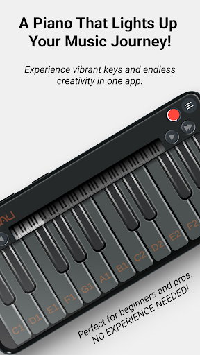 Luminous Virtual Piano PC