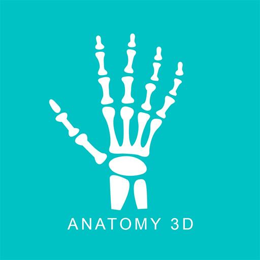 komputer Anatomy 3D