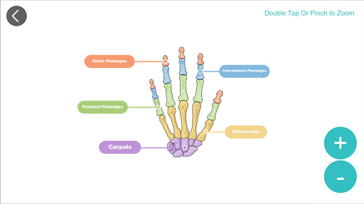 komputer Anatomy 3D