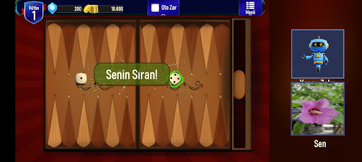 Kameralı Tavla PC版