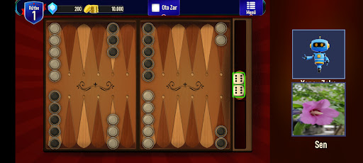 Kameralı Tavla PC版