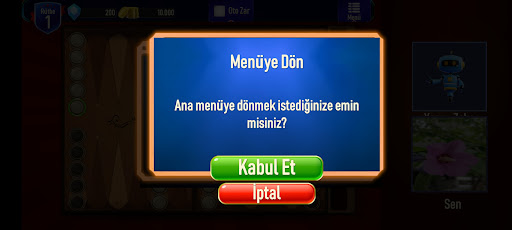 Kameralı Tavla PC版