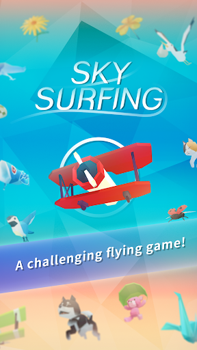 Sky Surfing PC