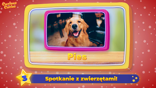 Polski alfabet z Króliczką ABC PC