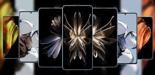 Wallpapers For Xiaomi 4K - HD পিসি