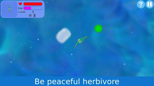 komputer Evolution of Species