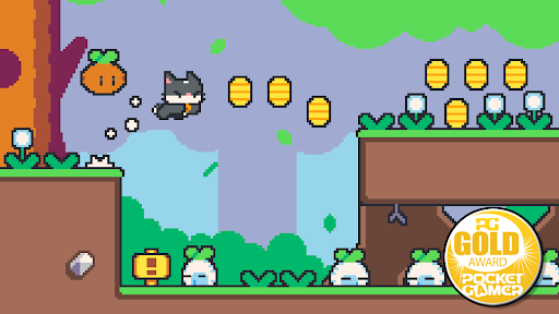 Super Cat Bros