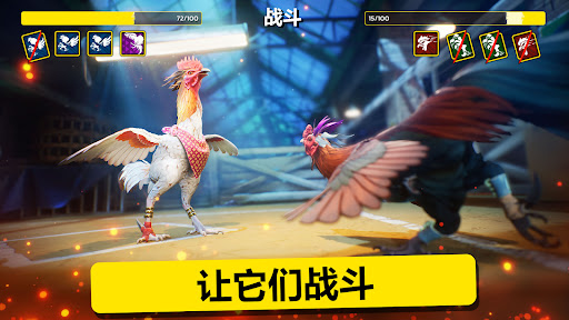 Rooster Fights