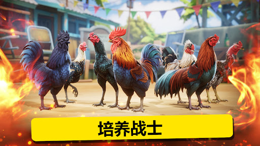 Rooster Fights