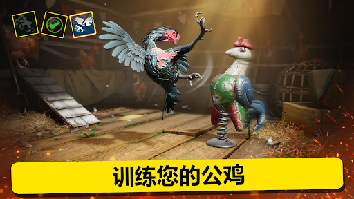 Rooster Fights