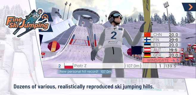Fine Ski Jumping PC