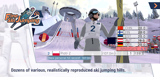 Fine Ski Jumping - Skispringen