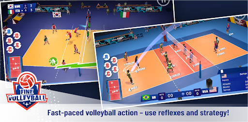 Fine Volleyball PC