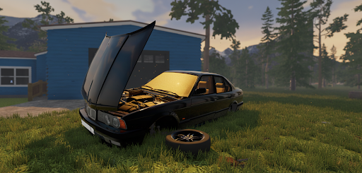 The Wildest Car پی سی