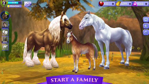 Horse Riding Tales - Wild Pony