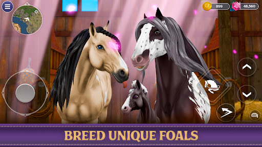 Star Equestrian - Horse Ranch PC