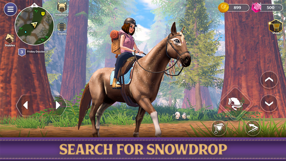 Star Equestrian - Horse Ranch