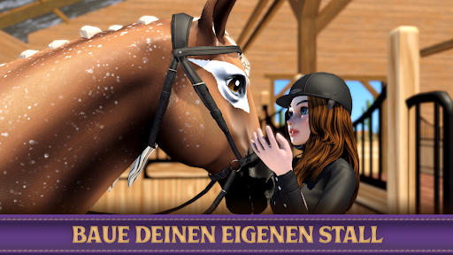 Star Equestrian - Horse Ranch