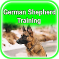 German Shepherd Training