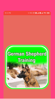 German Shepherd Training ????