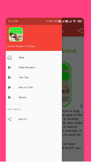 German Shepherd Training