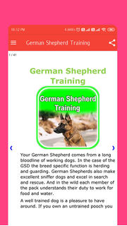 German Shepherd Training