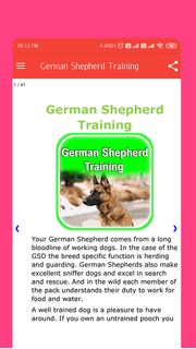 German Shepherd Training ????