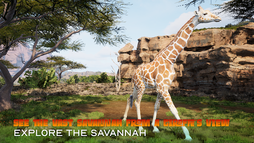 Animalia survival الحاسوب
